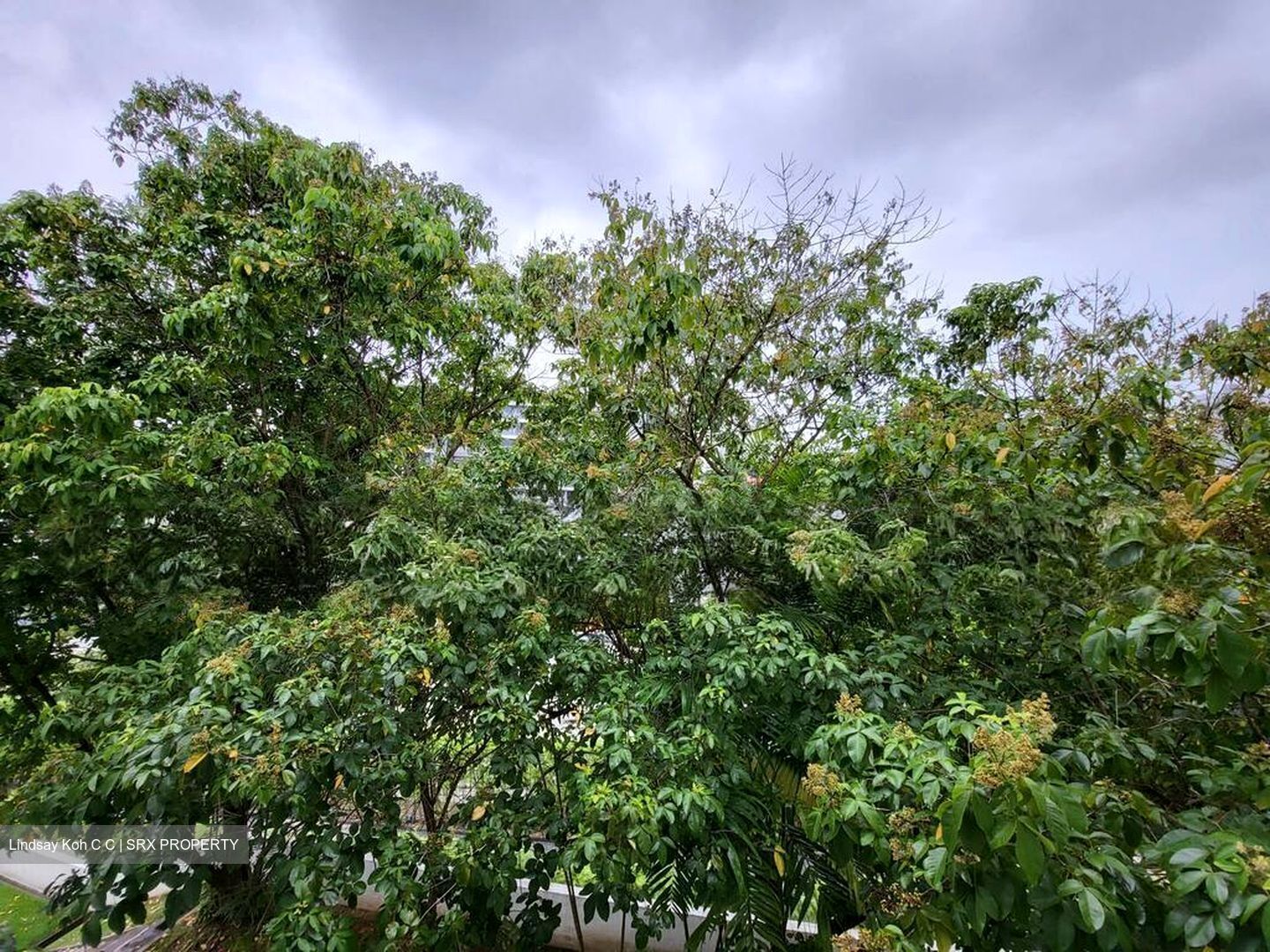 Oxley Garden (D9), Apartment #500944311